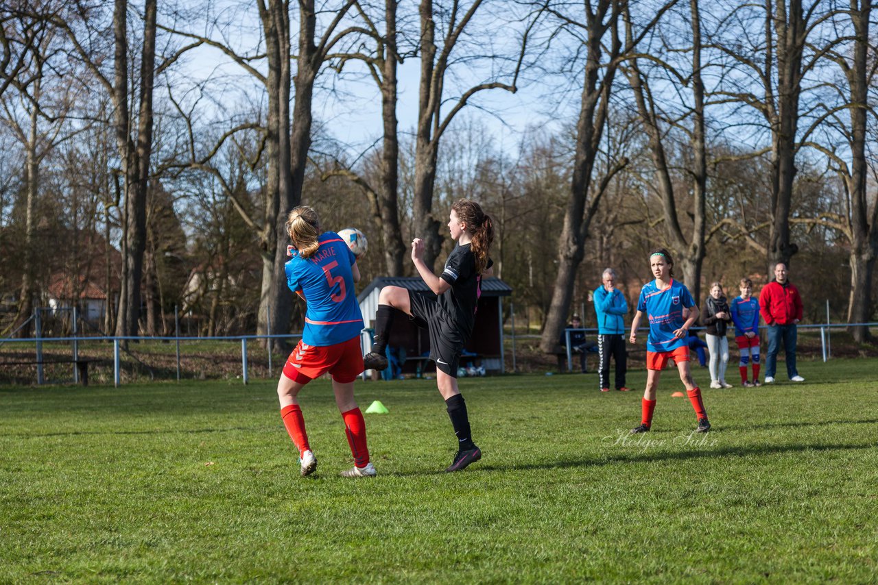 Bild 258 - C-Juniorinnen SV Steinhorst/Labenz - TSV Friedrichsberg-Busdorf : Ergebnis: 5:0